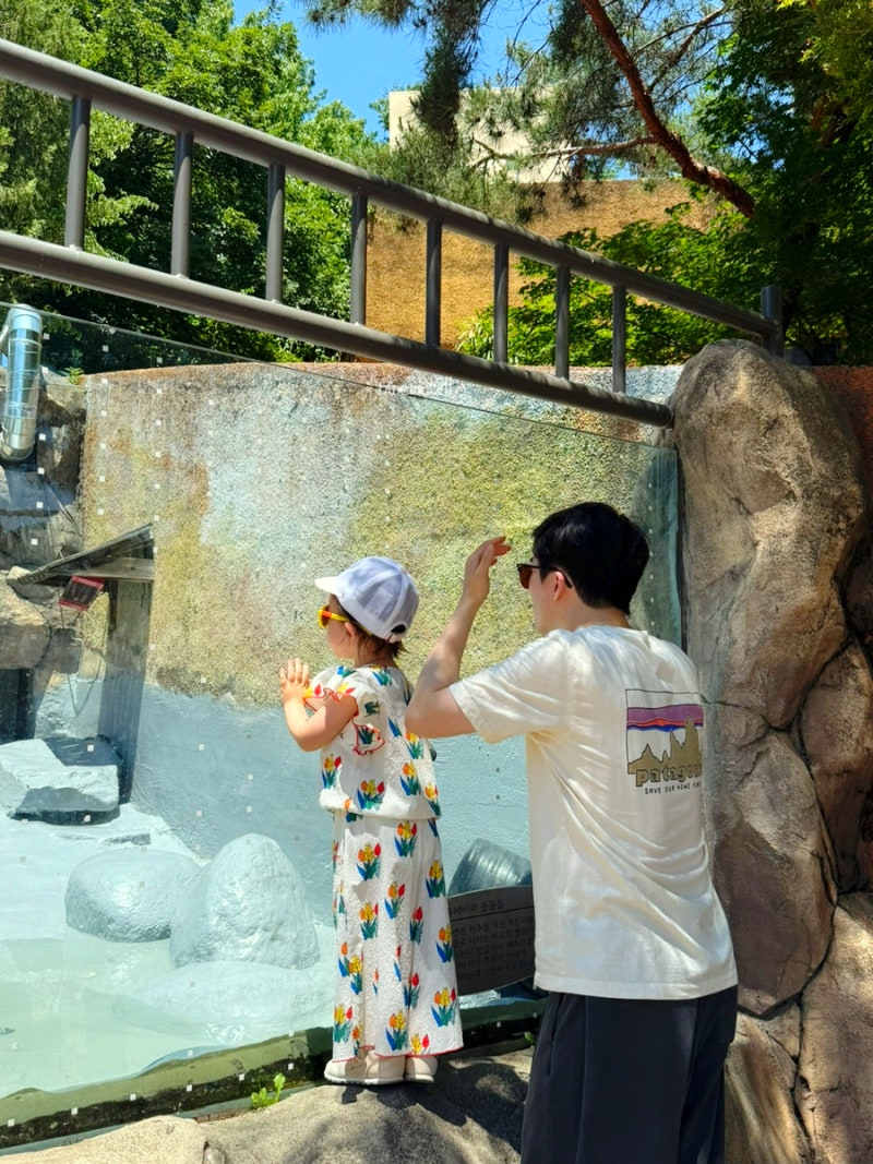 서울 어린이대공원 동물원 주차장 입장료 점심 식당 30개월 아이랑 방문｜구의문주차장 추천