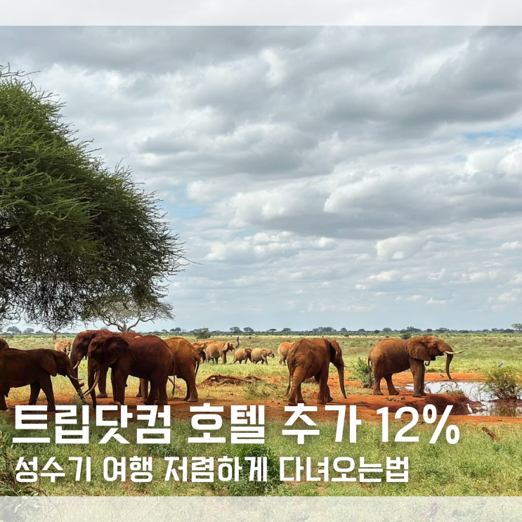  트립닷컴 할인코드 호텔 6월 국내 해외 호텔 추가 12% 할인 쿠폰