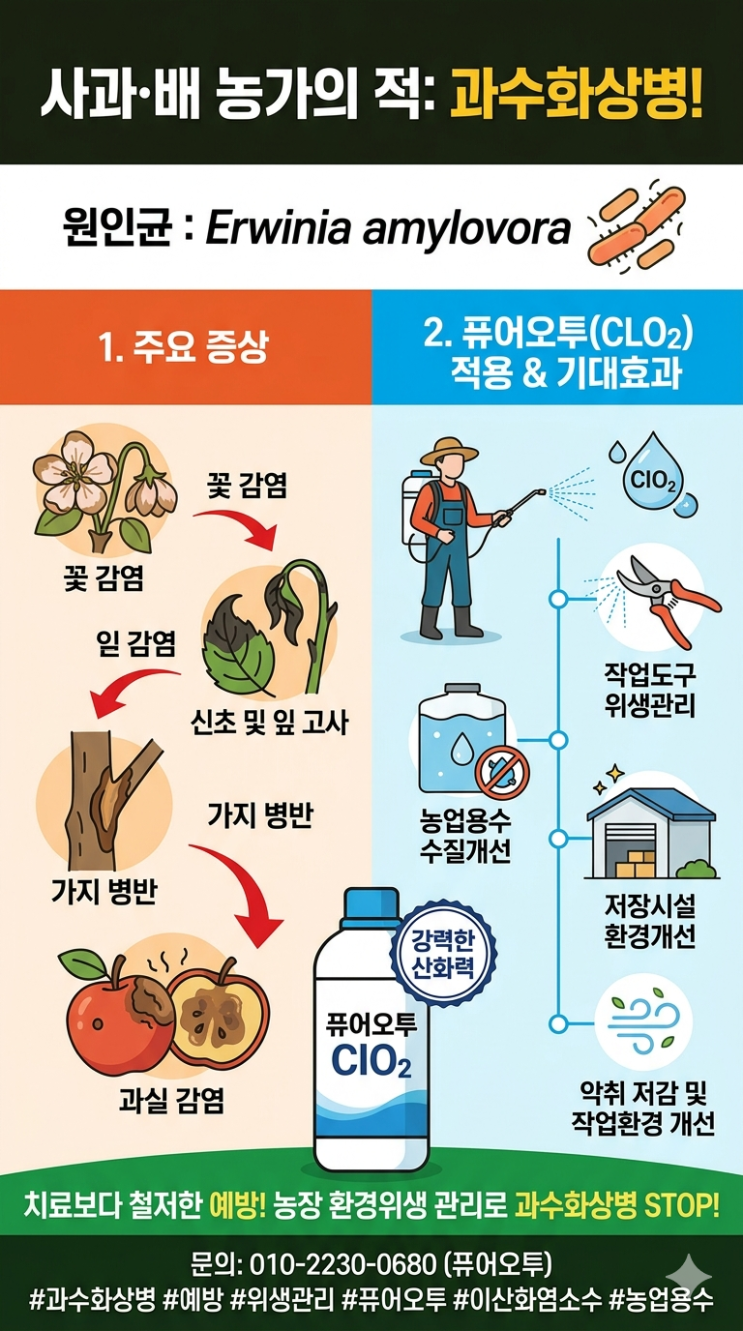  과수화상병 원인균과 증상, 그리고 퓨어오투이산화염소수의 적용과 기대효과 최근 사과·배 재배 농가에서 가장 우려하는 병해 중 하나가 바로 과수화상병입니다.