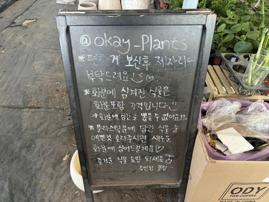 옥계식물원 사진 4