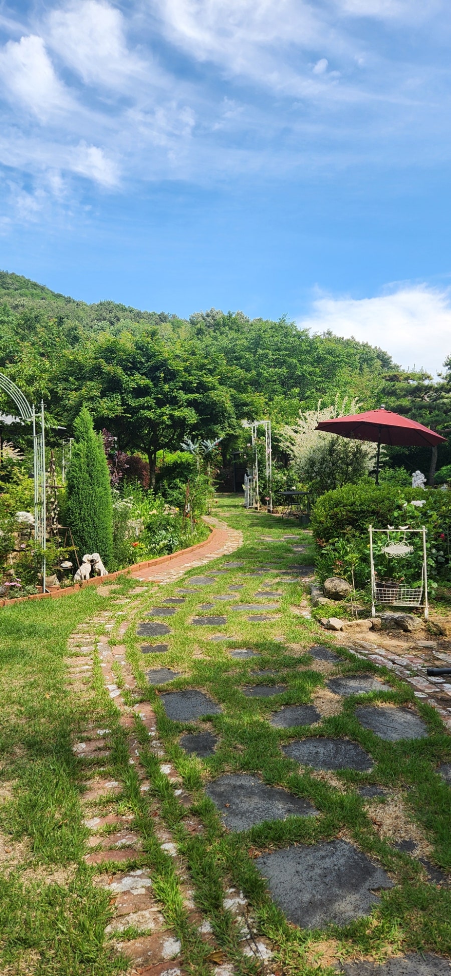 해브 사진 6