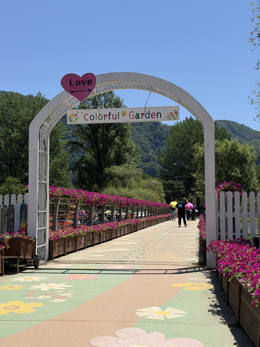 88제육 가평점 사진 5