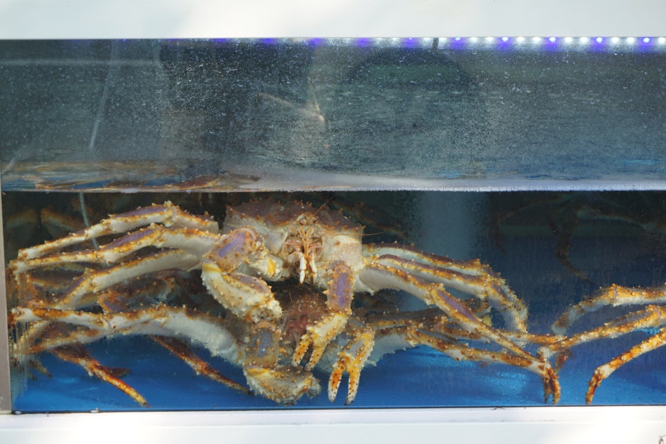 해물의제왕 목포점 사진 2