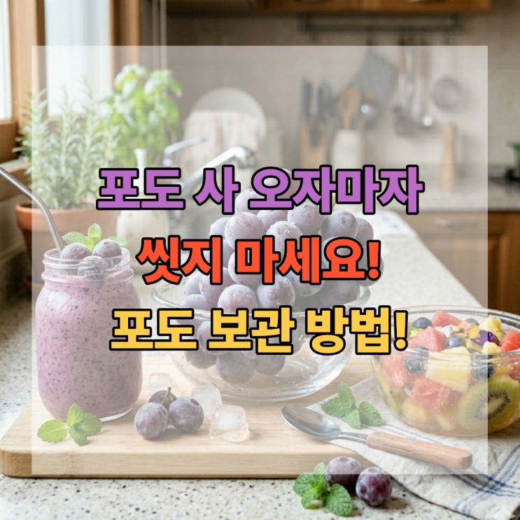  포도 사 오자마자 씻으면 안 되는 이유 오래 보관하는 법