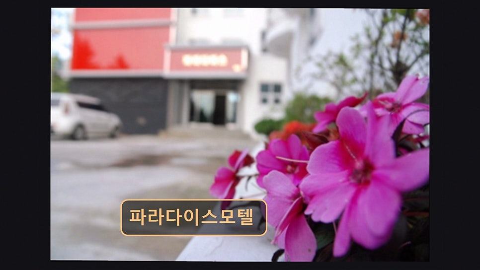 파라다이스모텔 사진 3