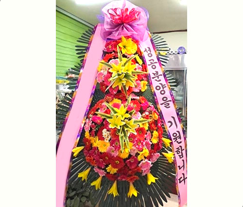 태백꽃집 사진 1