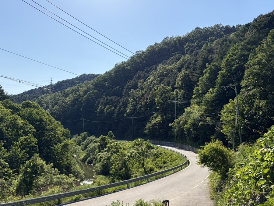 Seuteidarae photo 2