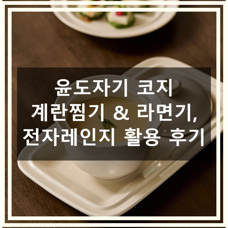 윤도자기 코지 국산 계란찜기 라면기 직접 써본 솔직 사용기
