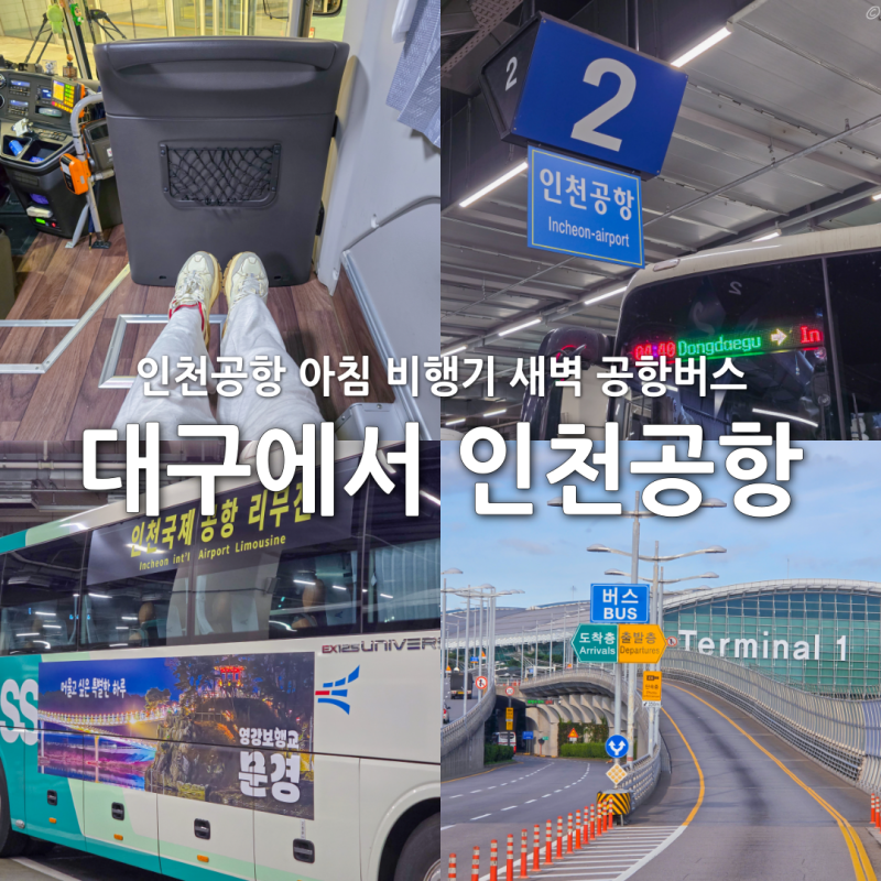 대구에서 인천공항 가는법 아침 비행기 새벽 공항버스 동대구버스터미널