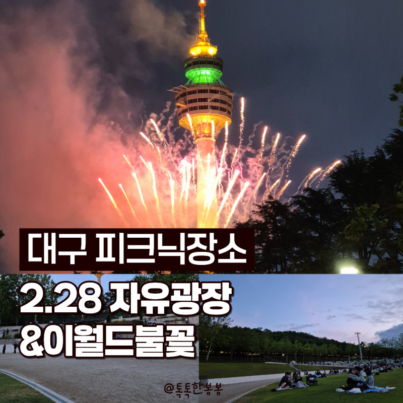 대구 피크닉장소 :: 두류공원 228 자유광장 이월드 불꽃놀이 무료 관람 아이랑