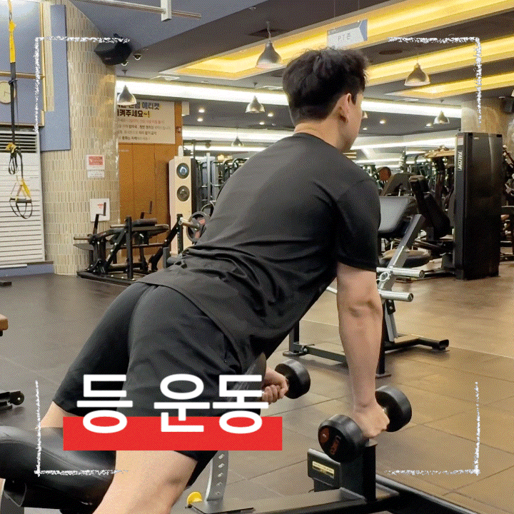  등운동 자극 안 온다면 덤벨로우 이렇게 해보세요