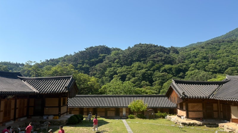 서울 근교 용문사 템플스테이 1박 2일 후기｜예약 방법, 버스 시간표, 숙소, 프로그램 총정리