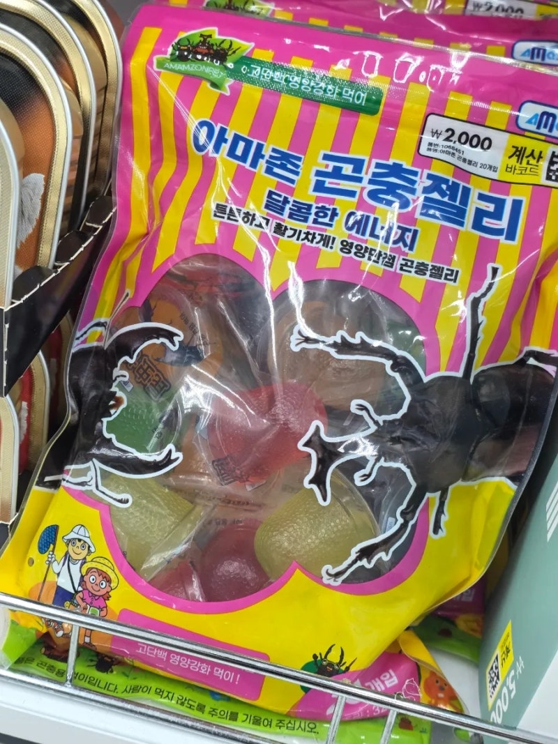 장수풍뎅이 먹이 젤리 없을때 과일 대체 방법 3가지