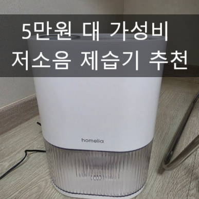 원룸 자취방 드레스룸 옷방 아기방 화장실 제습기 추천 가성비 저소음 홈리아 미니 2L 솔직후....