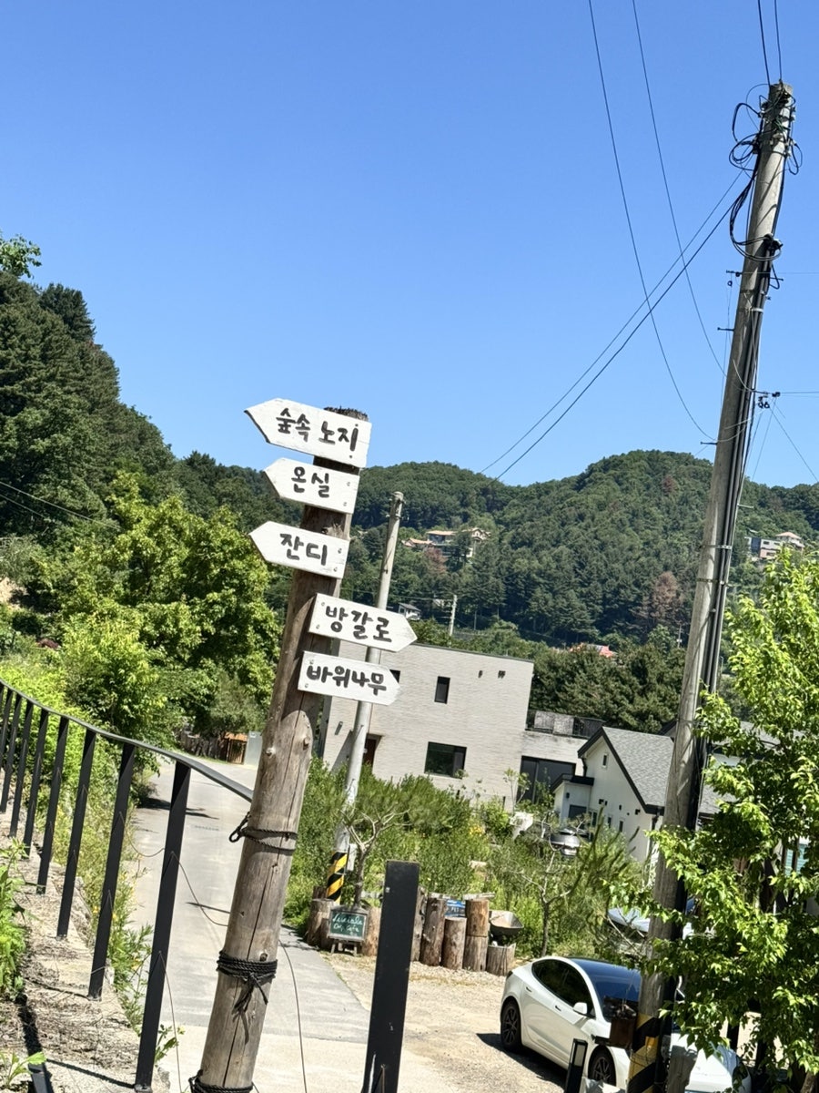 메리지아레 사진 4