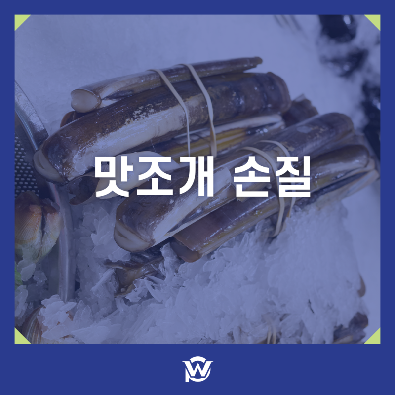맛조개 손질 해감 방법부터 효능 영양성분까지 총정리