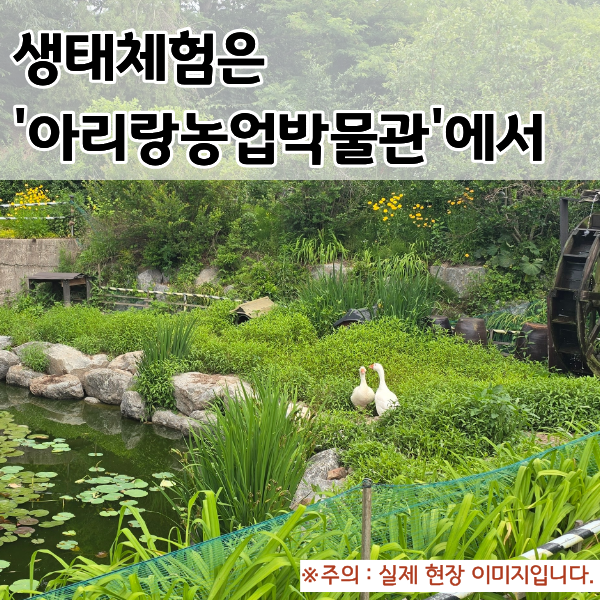  이천 아이랑 가볼만한곳 | 동물 교감과 자연 교육이 가득한 '아리랑농업박물관' 체험 활동 후기