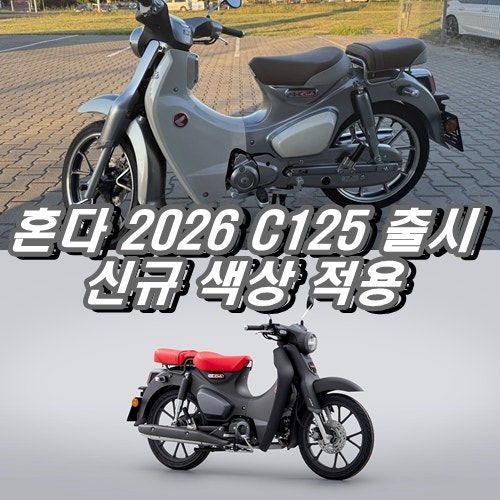 클래식 끝판왕의 우아한 변신! 2026 혼다 슈퍼커브 C125 실물 느낌과 가격, 제원 총정리