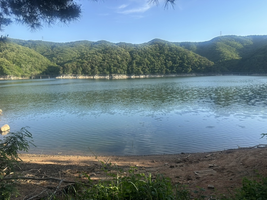 원산대반점 사진 5