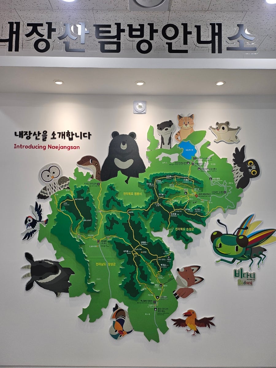 내장산 케이블카 사진 2