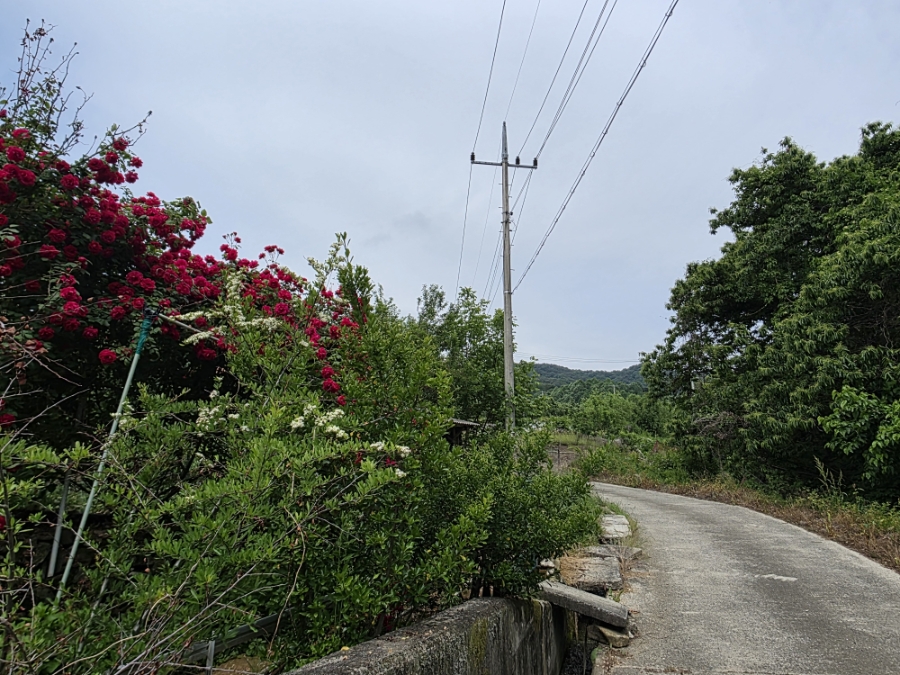 건흥산 사진 2