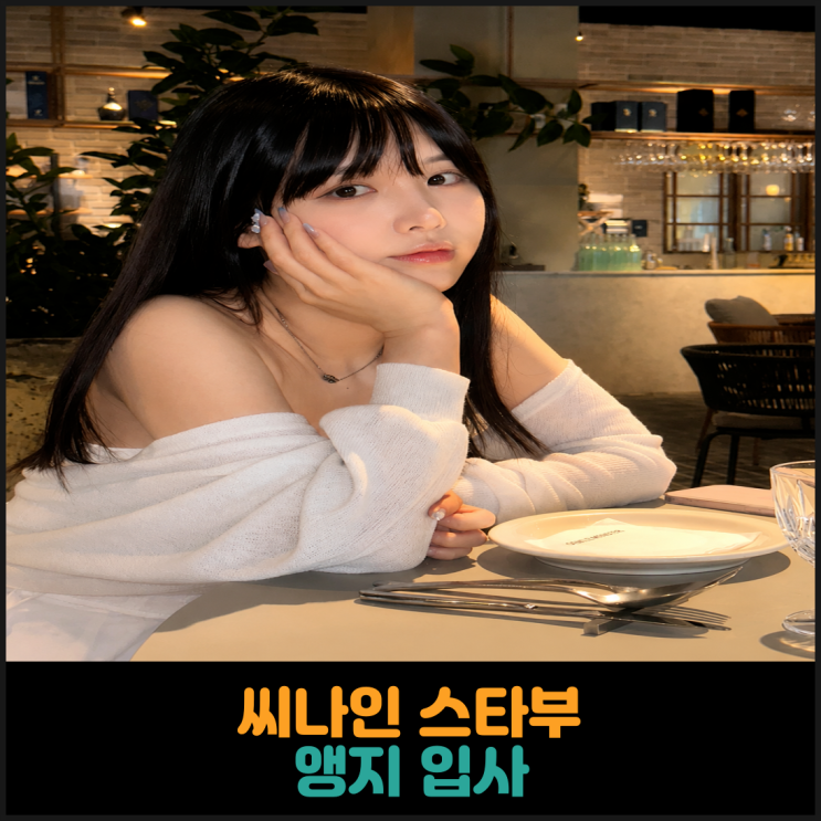  씨나인 스타부 앵지 입사