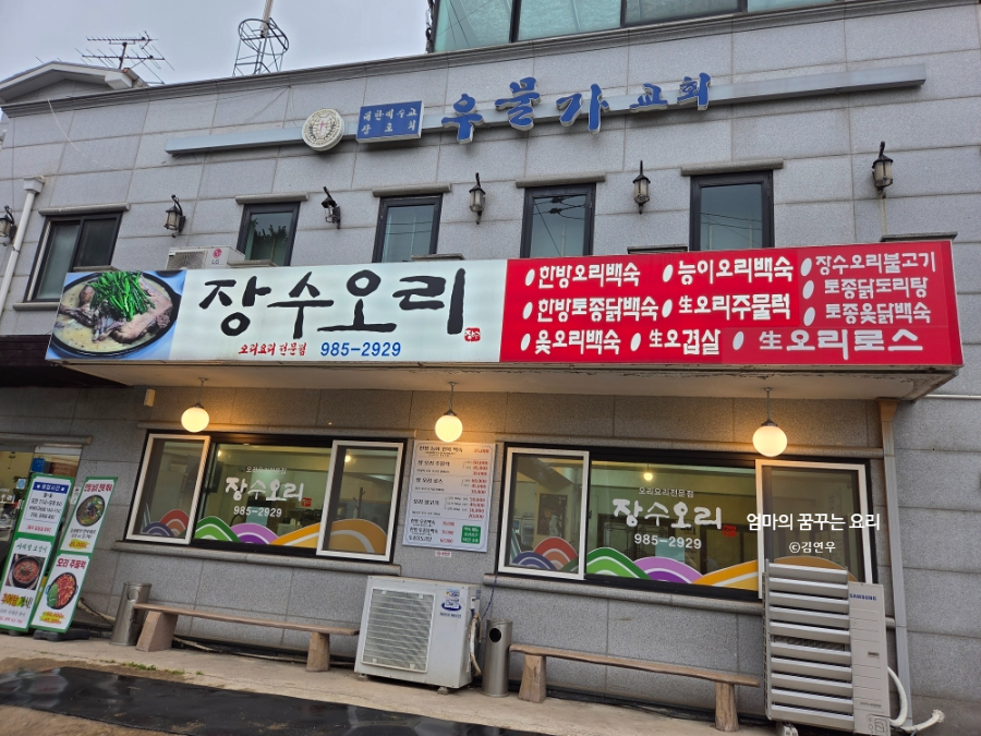 장수오리 사진 1