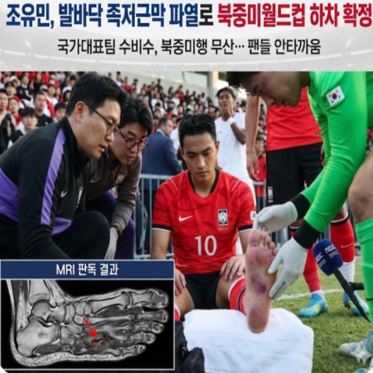 부상 조유민 8주진단 받으며 낙마!! 대체선수로 조위제 발탁!! 월드컵 10일을 남긴 대표팀의 가장 중요한 점은 부상 조심!! 부상당한 조유민 선수도 쾌휴를 빕니다.
