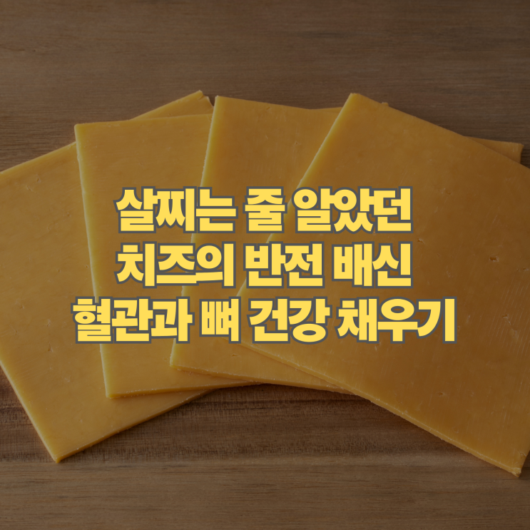  살찌는 줄 알았던 치즈의 배신 혈관과 뼈 건강 채워주는 치즈효능