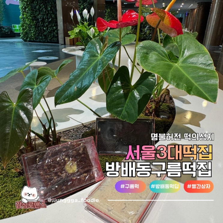  서울3대떡집 한결같이 맛있는  방배동구름떡집
