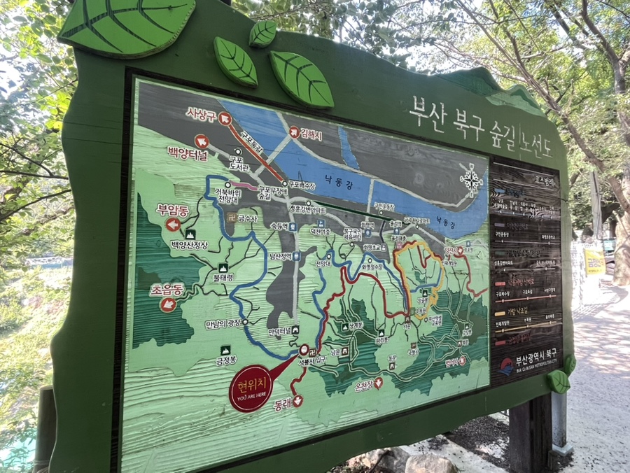 박씨네 사진 2