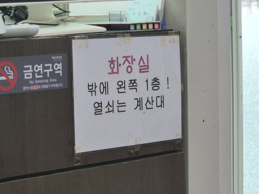 다밀 사진 6