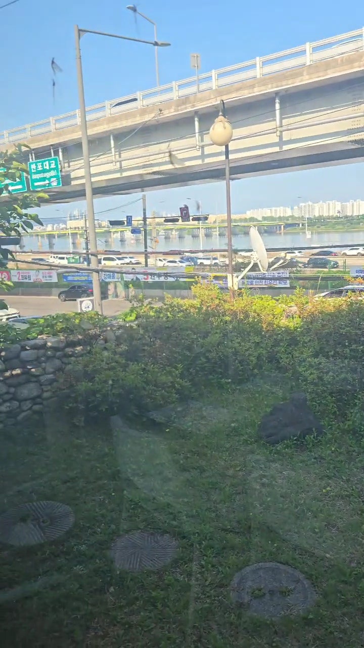 댓잎갈비 본점 사진 5