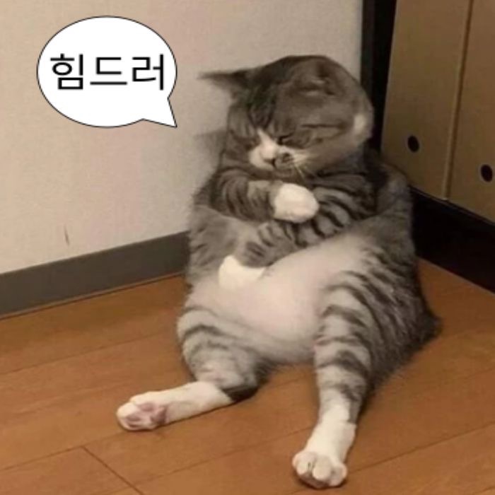 샤브향 대전관저점 사진 4