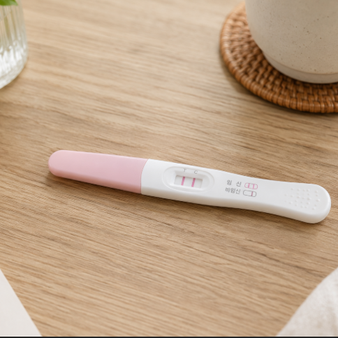  신혼부부 산전검사 신청 방법 e보건소에서 13만원 무료 지원받기 (임신 사전 건강관리 지원사업)