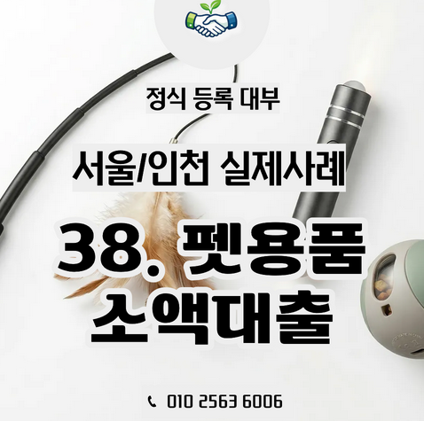  서울·인천 사업자 소액대출 실제 사례, 펫용품 매장의 온라인 판매 도전