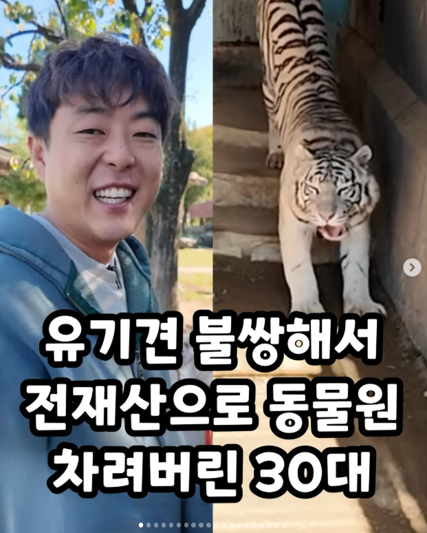 유기견 불쌍해서 전재산으로 동물원 차려버린 30대