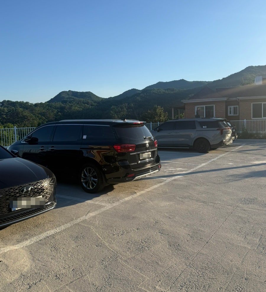 코델리아 사진 6