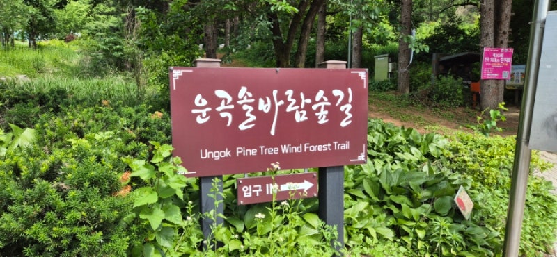 걷기 좋은 숲길. 원주 행구동 운곡솔바람숲길