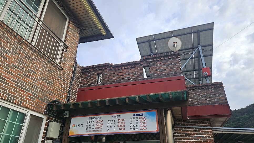 유진정 사진 5