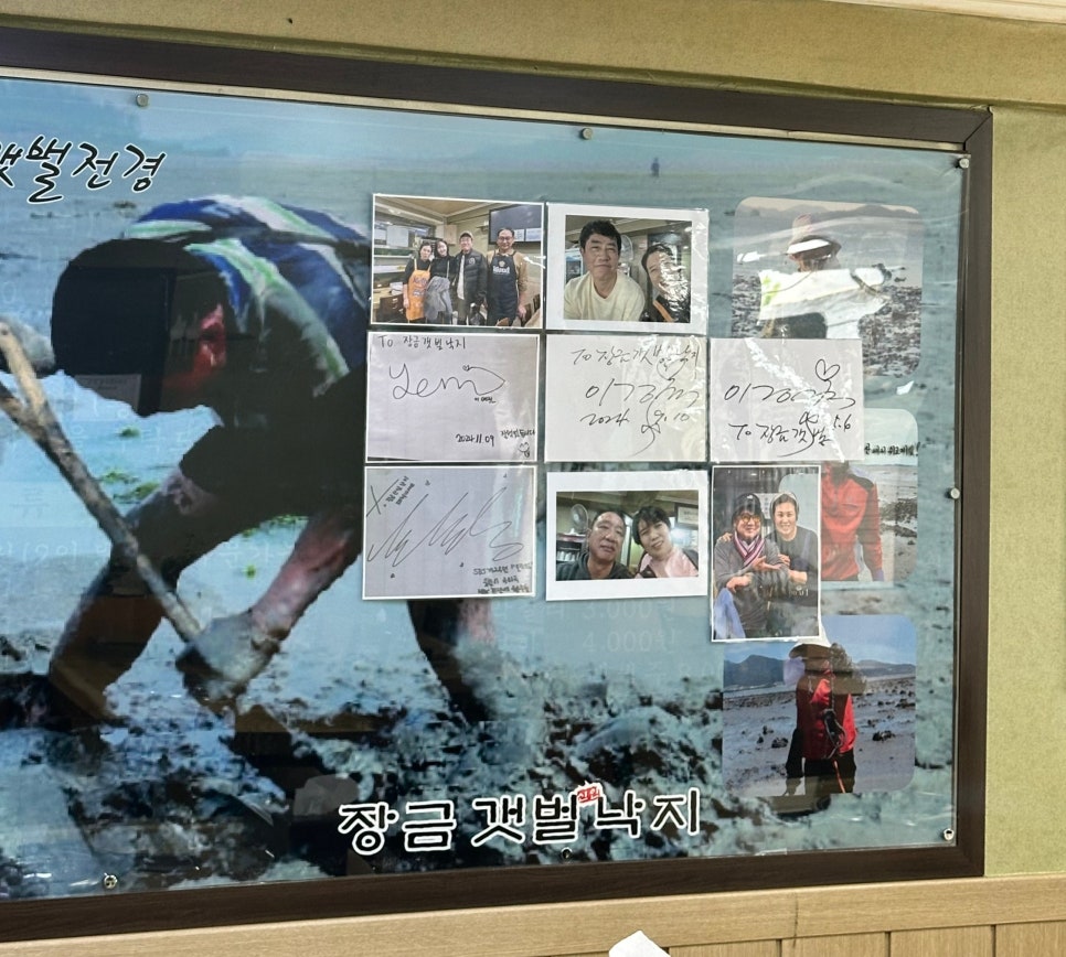장금갯벌신안낙지 사진 3