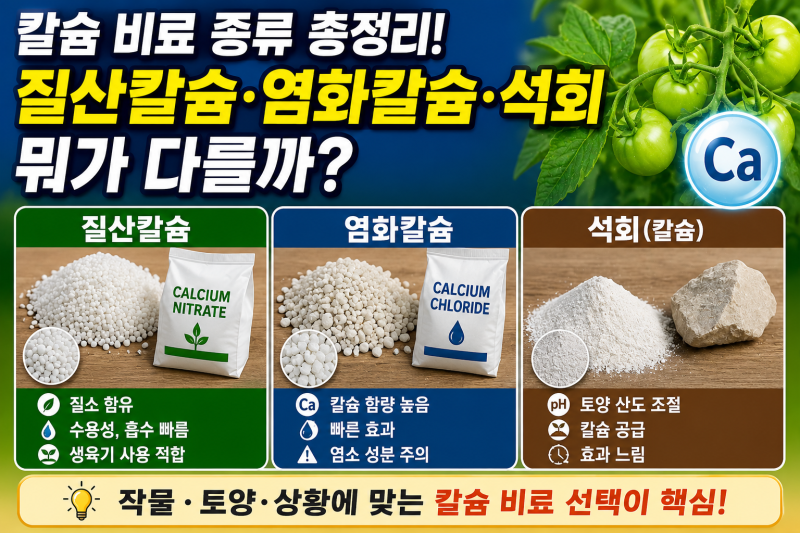 칼슘 비료 종류 총정리, 질산칼슘·염화칼슘·석회는 뭐가 다를까?