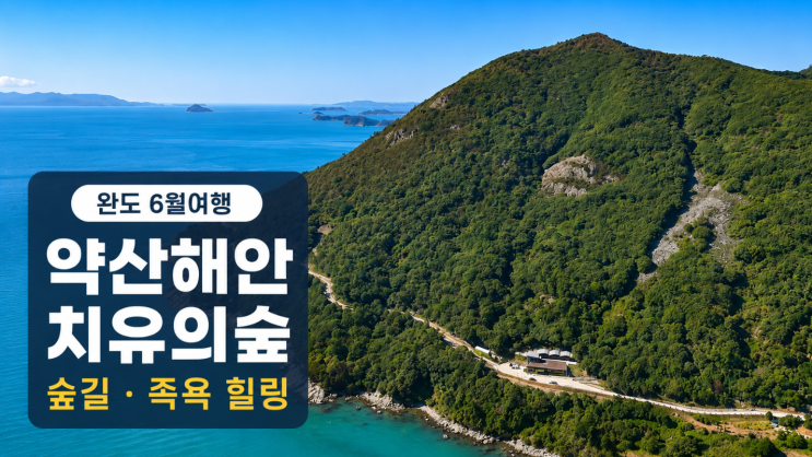  완도 6월 여행 약산해안치유의숲 추천 이유