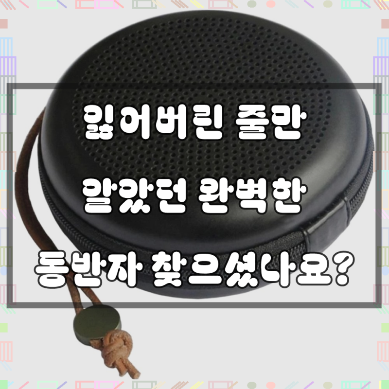 디스티프 뱅앤올룹슨 BeoPlay A1 EVA 하드쉘 케이스 15 x 15 x 4 cm, 블랙, 1개, 단일상품