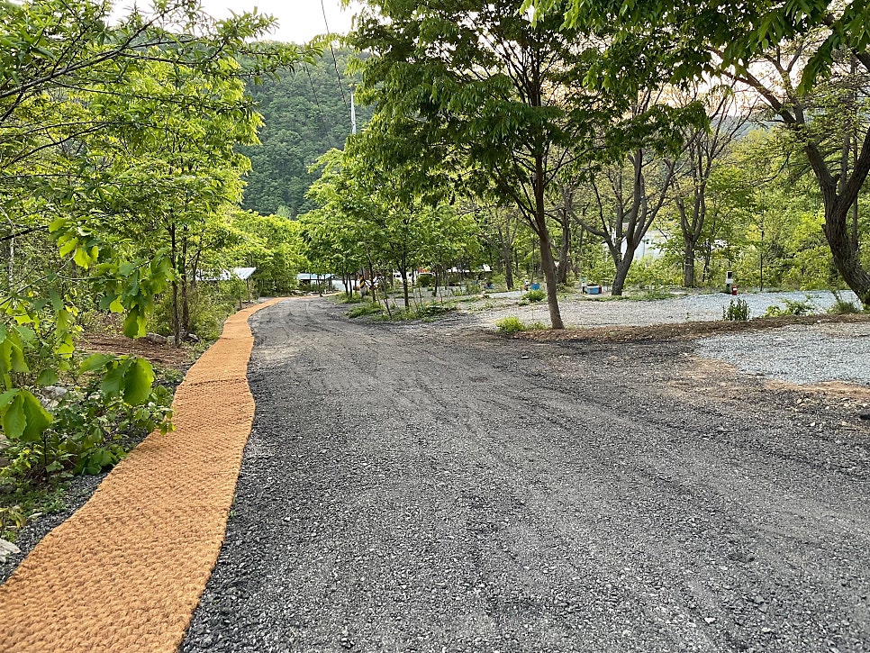 비발디캠핑파크 노일점 사진 2
