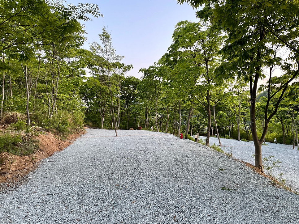 비발디캠핑파크 노일점 사진 4