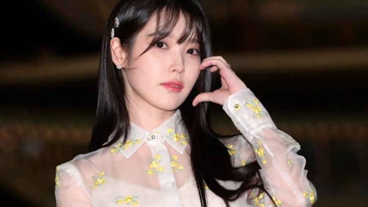  "악플이 이 정도였어?"… 아이유 악플러 결국 징역형, 재판부도 경악한 충격적인 이유