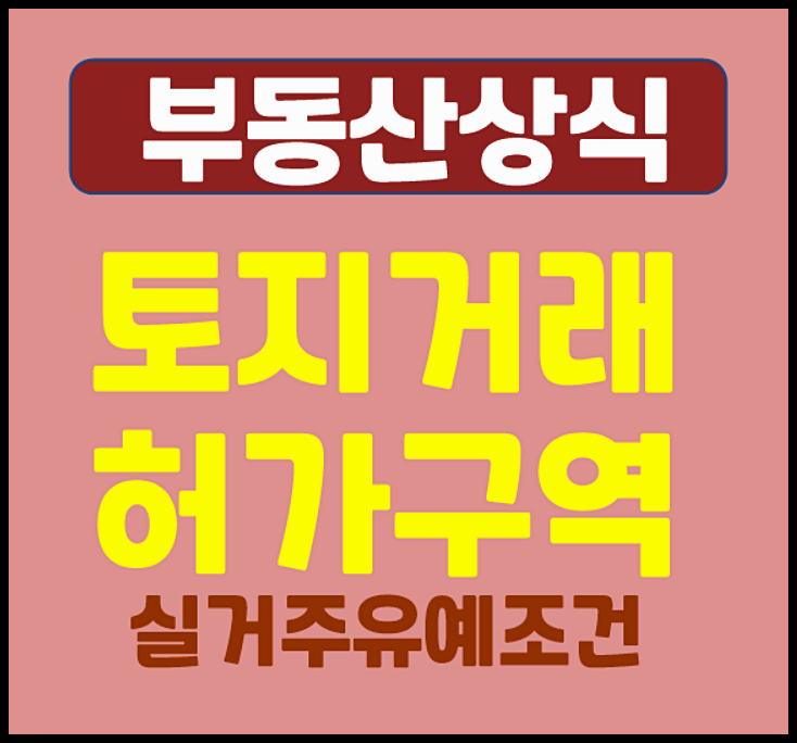  토지거래허가구역 무주택자 실거주 유예 조건 정리