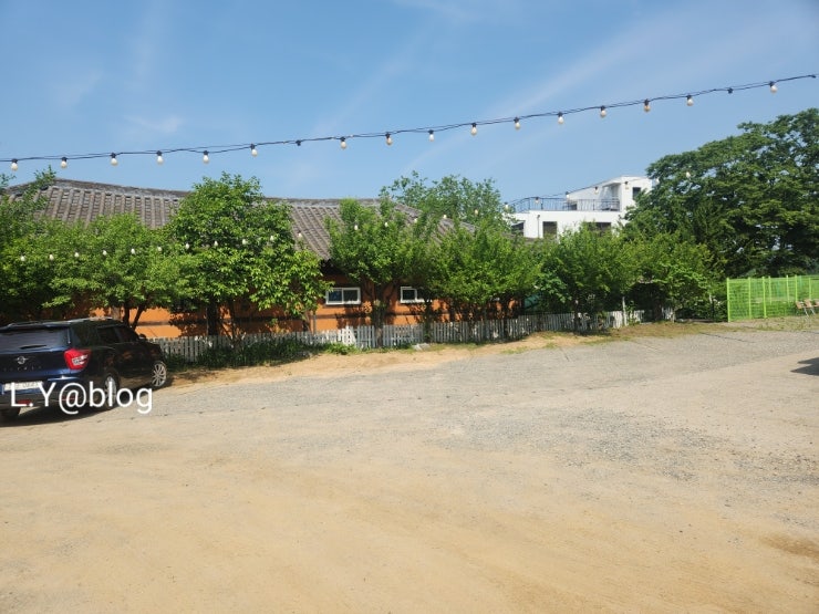 들꽃향 사진 4