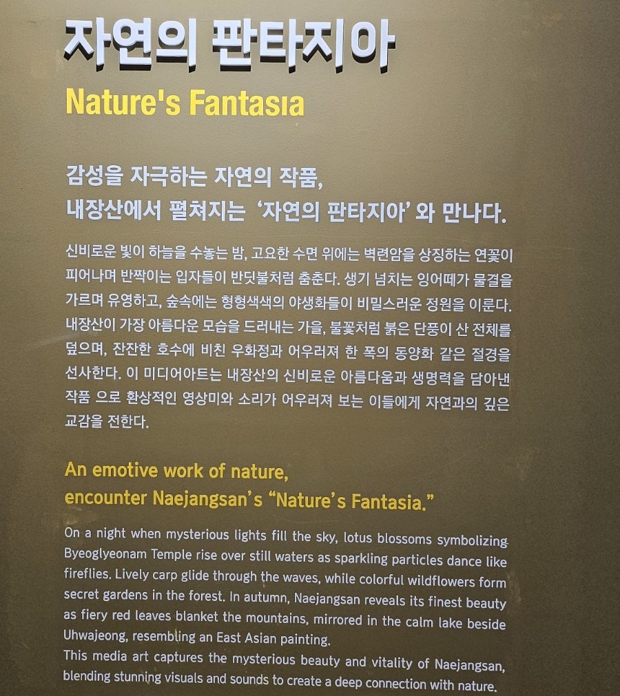내장산 케이블카 사진 5